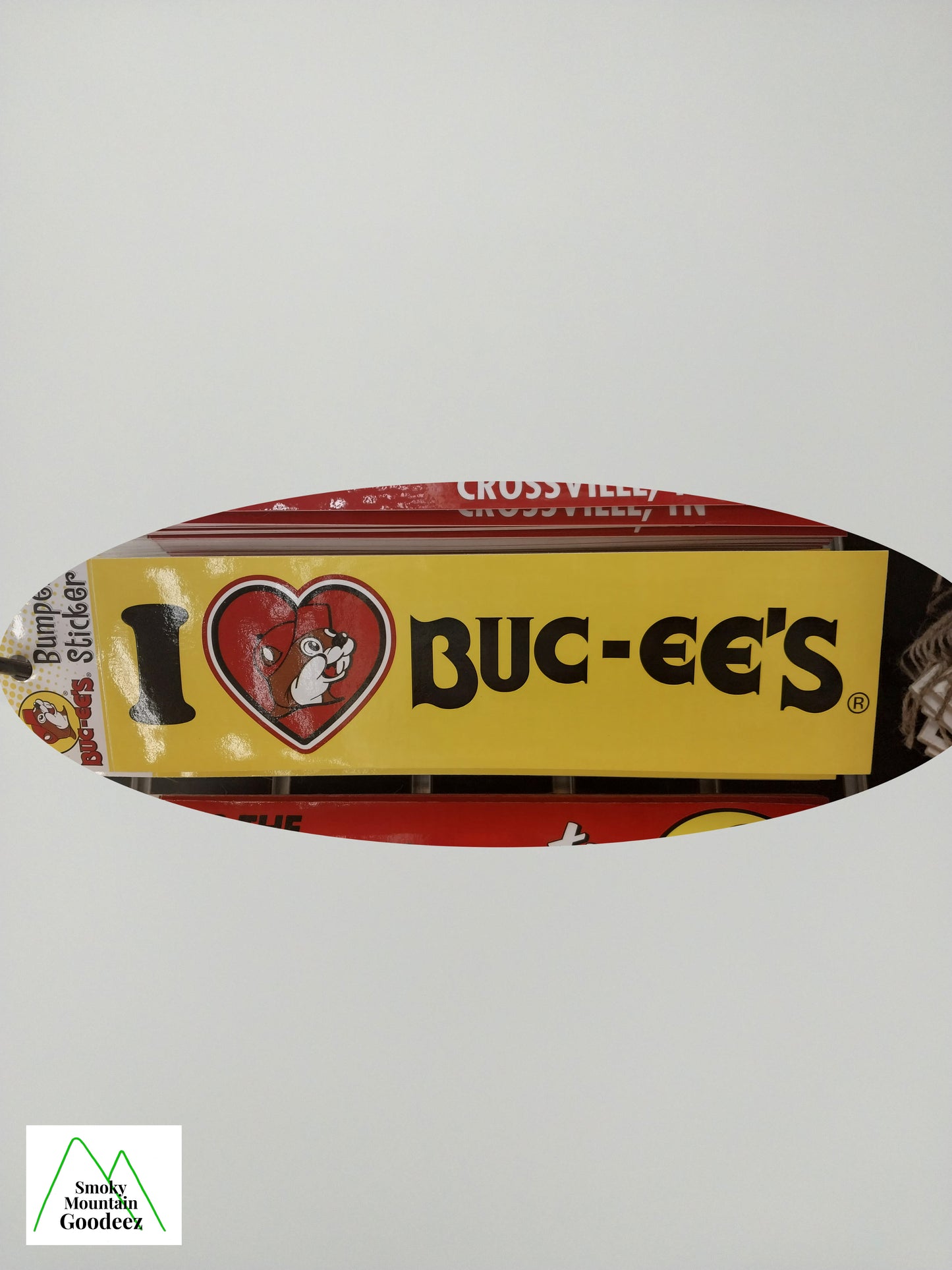 Buc-ee's Bumper Stickers - 6 Styles