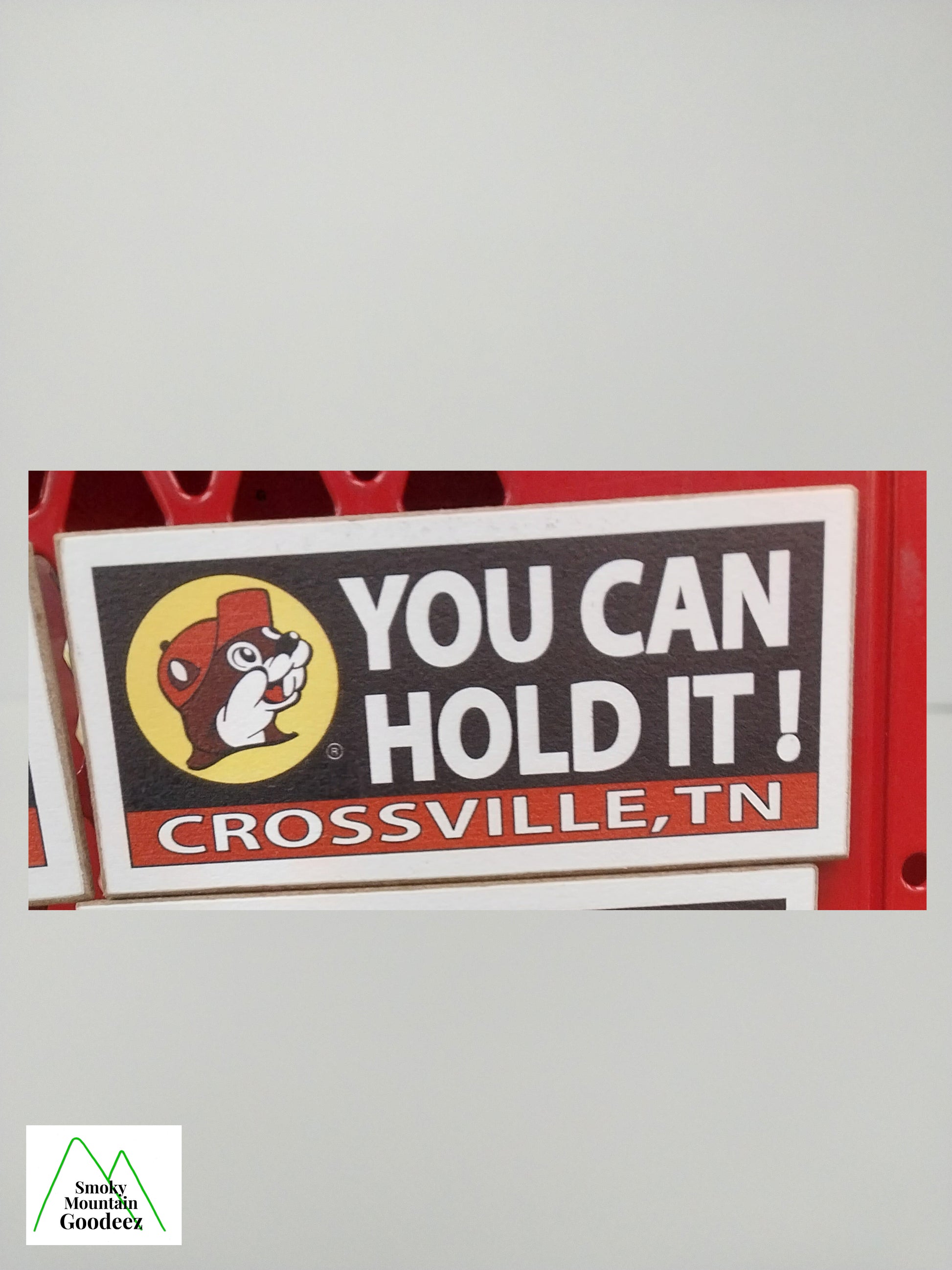 Buc-ee's Magnet Billboard Sign - You Can Hold It! Crossville, TN - 1 of 6  Varieties