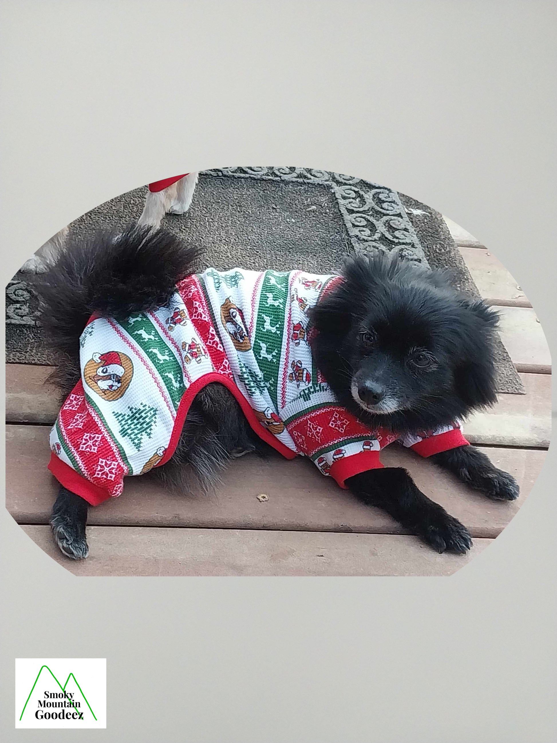 Buc-ee's Dog Christmas Pajama Onesie – Smoky Mountain Goodeez
